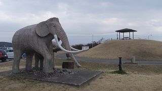 双子公園でございます