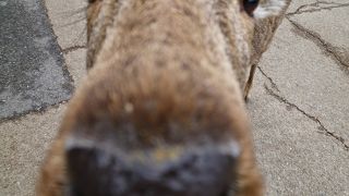 パンフレットは落とさないように