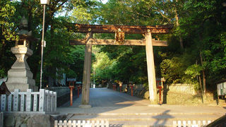 東大阪で有名な枚岡神社
