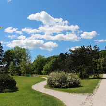 緑が美しい公園です