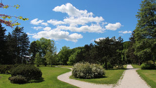 きれいな公園ですが
