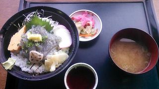 まさしく海のおもてなし！？