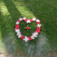 芝生には毎日　こんな花の飾りが・・・