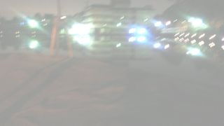 亀がいなくなった