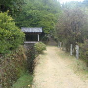 綺麗な竹林に邸宅