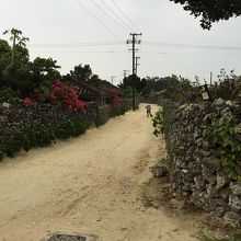 おばあの後ろ姿