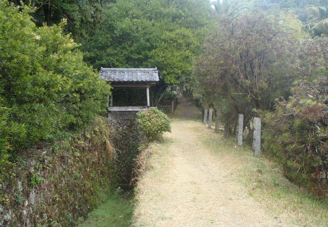 綺麗な竹林に邸宅