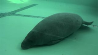 暖房付きで快適に観察できます。