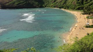 魚の大群見れました〜