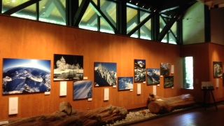 無料だし、言うことなし