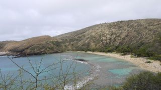 絶対にお魚が見られる