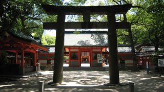 見どころ満載の筑前一之宮