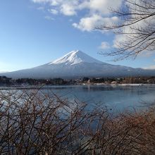 2ツリー間の過去からの富士山を確認します。富士山のベスト!!