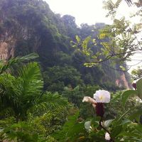 敷地内でトレッキングもできたはず。