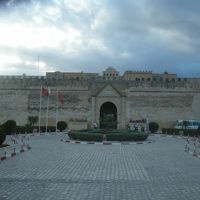 この距離間で写真を撮るのがベストということでした。