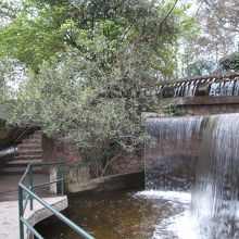 迷路のような散策路にはいろいろな人工の滝があって、面白い。