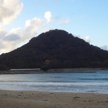 自然あふれる山