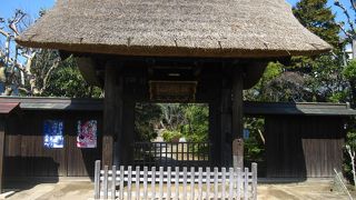 大船の住宅地・お店の並びの中にある趣き深いお寺