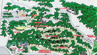 鹿児島市中央部にある小高い山『城山』