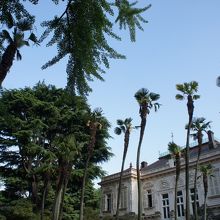 洋館とヤしの組合せがエキゾチック