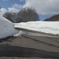 八甲田「雪の回廊と温泉」ウォーク