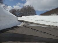 八甲田「雪の回廊と温泉」ウォーク