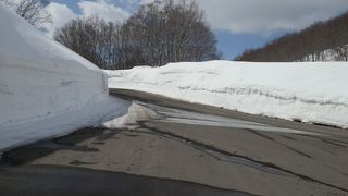 八甲田「雪の回廊と温泉」ウォーク