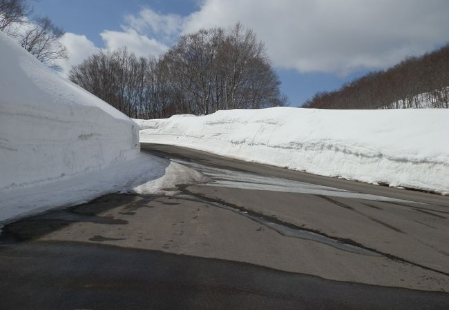 八甲田「雪の回廊と温泉」ウォーク