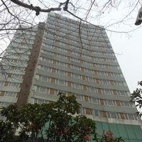 なかなか立派。