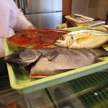 新鮮な魚を使ってます