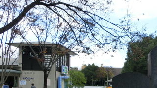 鹿児島市の都心部に位置する『中央公園』