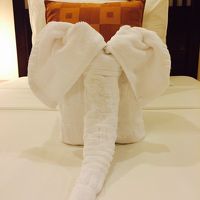 タオルが象さんに変身してた♪