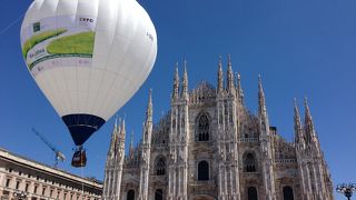 GW　白い綿が飛んでいます