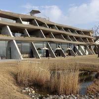 自然素材を使った有機的デザイン