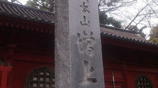 東京タワーを背負って