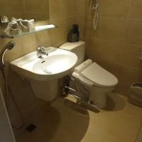 洗面台の横に取り付けたシャワー