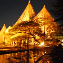 雪吊りの木がライトアップで反映が水面に浮かび上がる