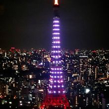 レストランからの眺め