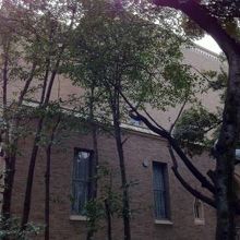 正面ではなく横からの写真です