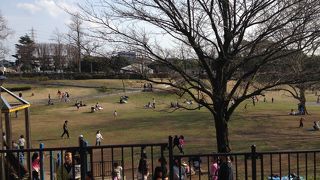 公園内は広く、子連れにはよいと思います。