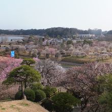偕楽園からの眺望
