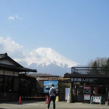 有料資料館の中にも池があるらしい。富士山が見えました。