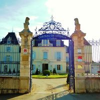 車はここから入ります。