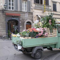 歩けば、こんな風景が見れます