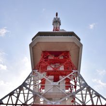 こぢんまりとしていて，かわいらしいタワーです．