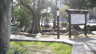 周りに被爆した木々が多く残っています。