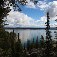 木が邪魔で湖が見えない場所が多かったです