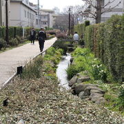 世田谷区内を横断する緑道