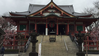 平日はのんびりモードでリラックスできる空間です。