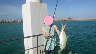 釣ったぞ By 酔えないシャンペン 黒島港のクチコミ フォートラベル 釣ったぞ By 酔えないシャンペン 黒島港のクチコミ フォートラベル